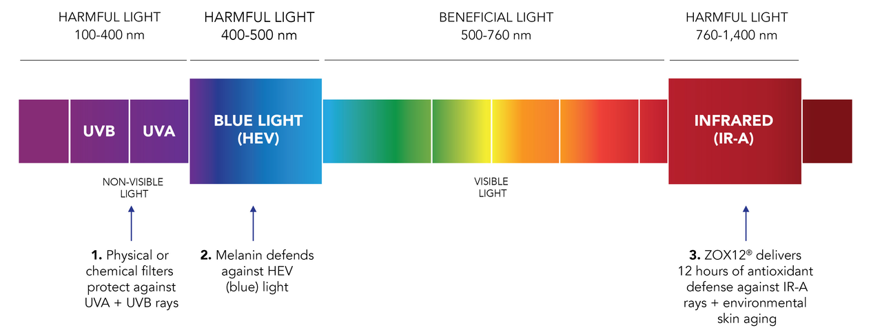 Sun Science Visual
